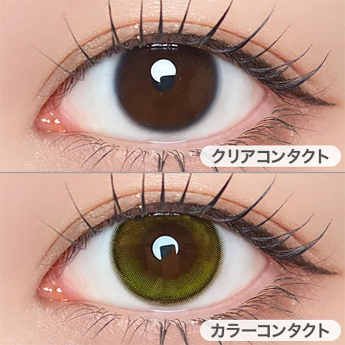 【預購】【固定高光】Refrear Unrolla Lunan Olive 1 Day 十片裝