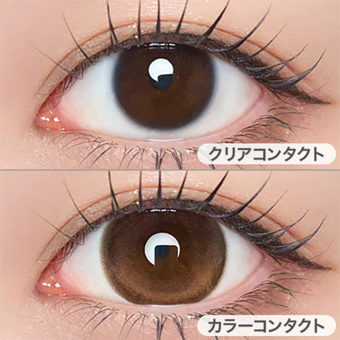 【預購】【固定高光】Refrear Unrolla Lunan Brown 1 Day 十片裝