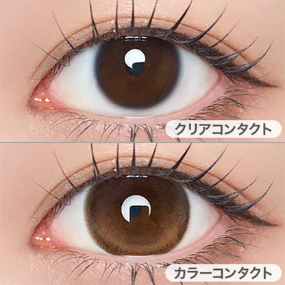 【預購】【固定高光】Refrear Unrolla Lunan Brown 1 Day 十片裝