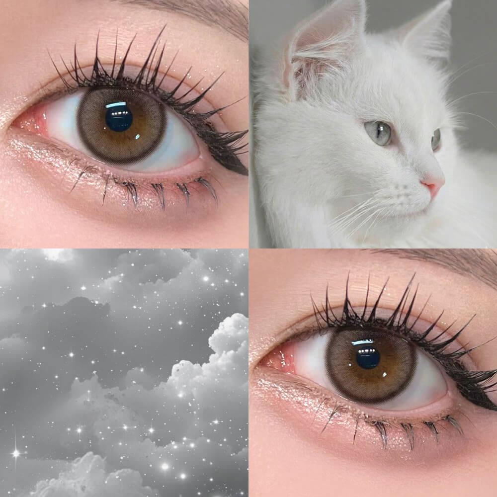 【預購】Miclair Silicone Hydrogel Shiranpuri Gray 1 Day 十片裝