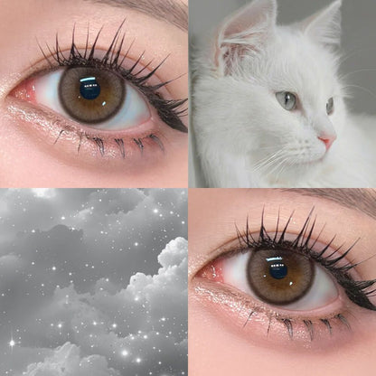 【預購】Miclair Silicone Hydrogel Shiranpuri Gray 1 Day 十片裝