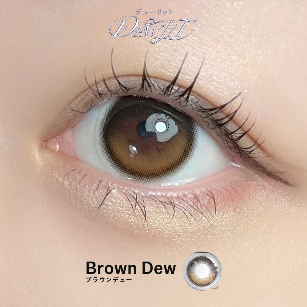 【預購】【固定高光】Dewlit Brown Dew 1 Day 十片裝