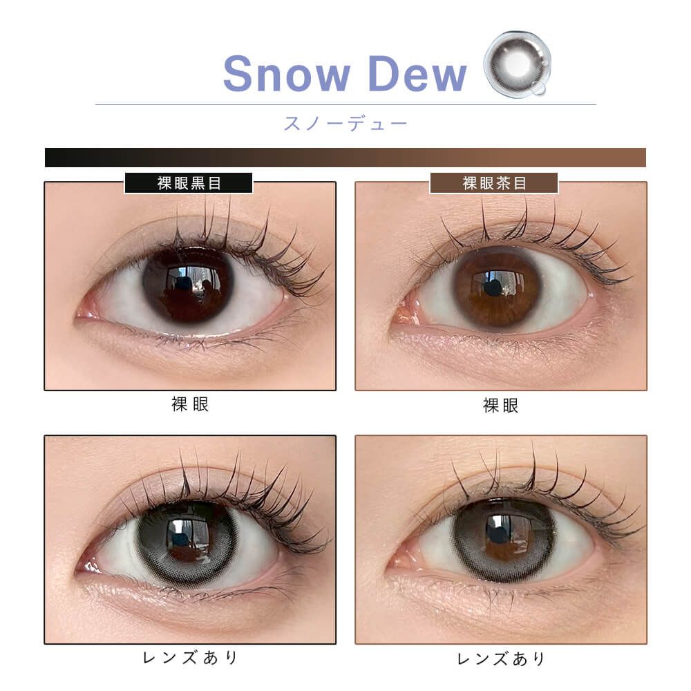 【預購】【固定高光】Dewlit Snow Dew 1 Day 十片裝