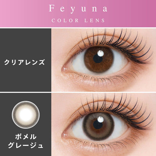 【預購】Feyuna Pomel Greige 1 Day 十片裝