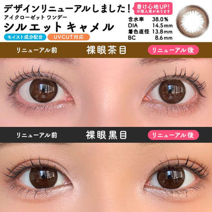 【預購】Eye Closet Silhouette Camel 1 Day 十片裝