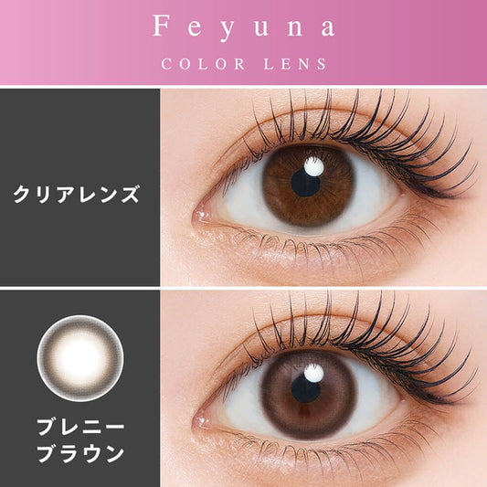【預購】Feyuna Breny Brown 1 Day 十片裝