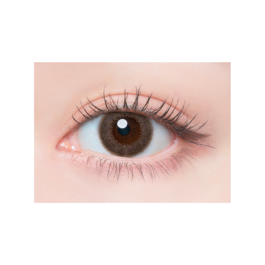 【預購】Flanmy Sakura Roll 1 Day 十片裝