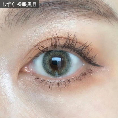 【預購】Eye Closet Shizuku 1 Day 十片裝