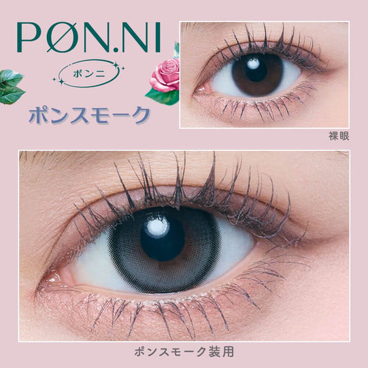 【預購】【固定高光】Refrear Pon.ni Silicone Hydrogel Pon Smoke 1 Day 十片裝