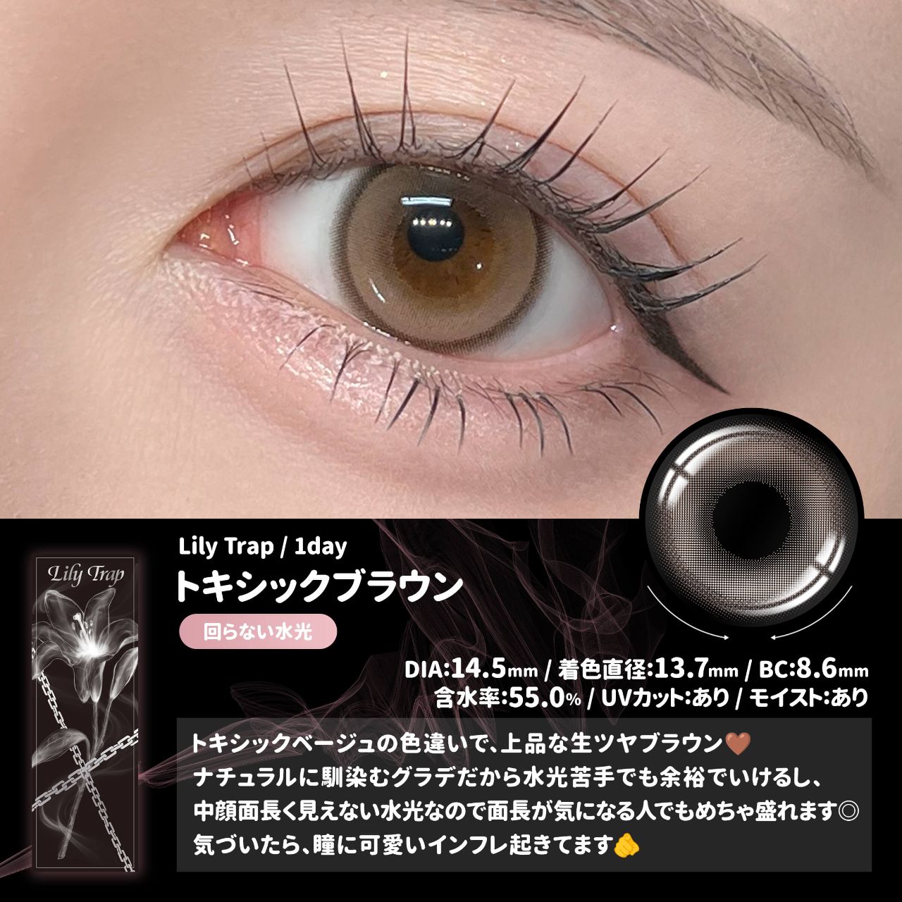 【預購】【固定高光】Lily Trap Toxic Brown 1 Day 十片裝