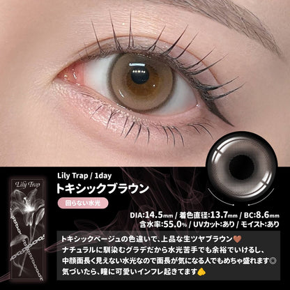 【預購】【固定高光】Lily Trap Toxic Brown 1 Day 十片裝
