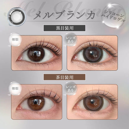 【預購】Honey Drops Silicone Hydrogel Mel Blanca 1 Day 十片裝