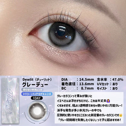 【預購】【固定高光】Dewlit Gray Dew 1 Day 十片裝