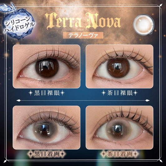 【預購】Phantom Eden Terra Nova  1 Day 十片裝