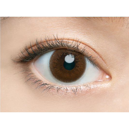 【預購】Angelcolor BAMBI SERIES Vintage Nude 1 Day 十片裝