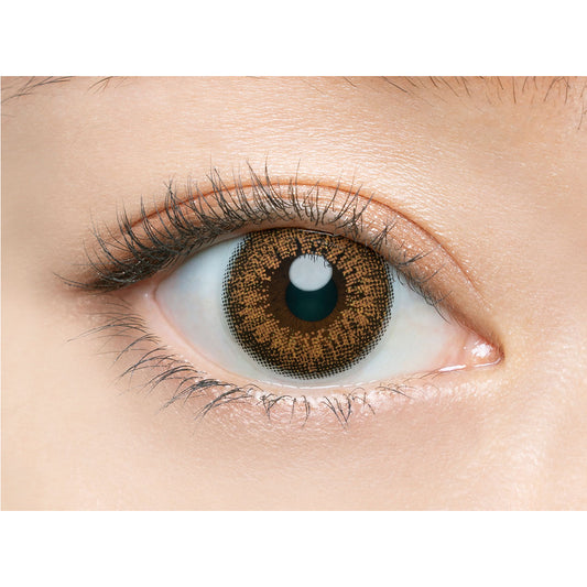 【預購】Angelcolor BAMBI SERIES Vintage Brown 1 Day 十片裝