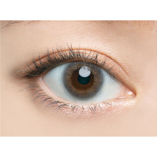 【預購】Angelcolor BAMBI SERIES Vintage Gray 1 Day 十片裝