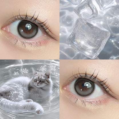 【預購】【固定高光】Dewlit Gray Dew 1 Day 十片裝