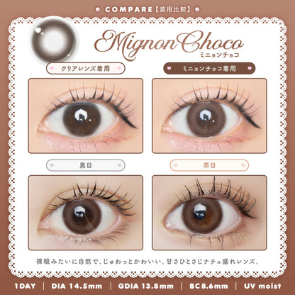 【預購】Idoly Mignon Choco 1 Day 十片裝