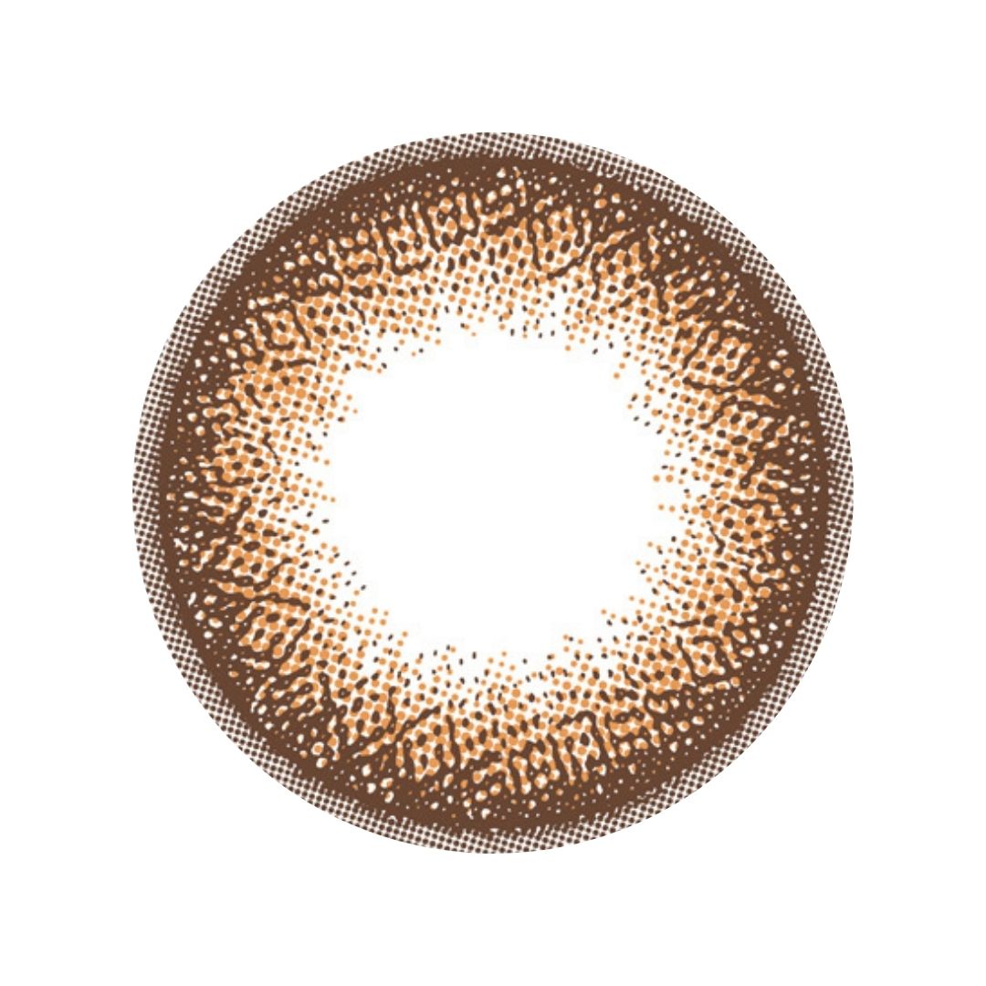 【預購】Flanmy Doughnut Brown 1 Day 十片裝