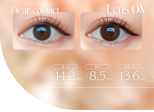 【預購】Angelcolor BAMBI SERIES Vintage Bear 1 Day 十片裝