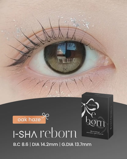 【預購】【固定高光】I-SHA Reborn Oak Haze 1 Month 一片裝
