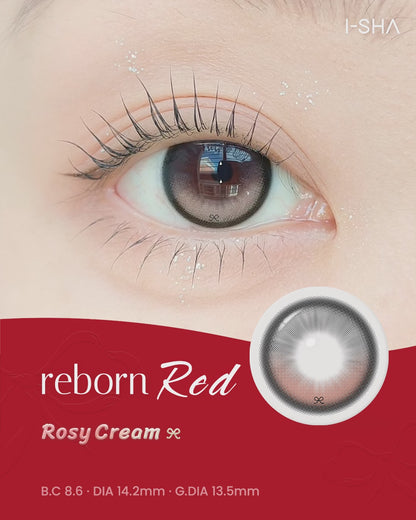 【預購】【固定高光】I-SHA Reborn Red Rosy Cream 1 Month 一片裝