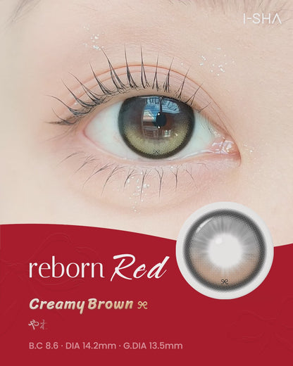 【預購】【固定高光】I-SHA Reborn RED Creamy Brown 1 Day 十片裝