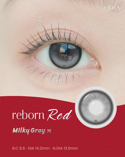 【預購】【固定高光】I-SHA Reborn Red Milky Gray 1 Month 一片裝