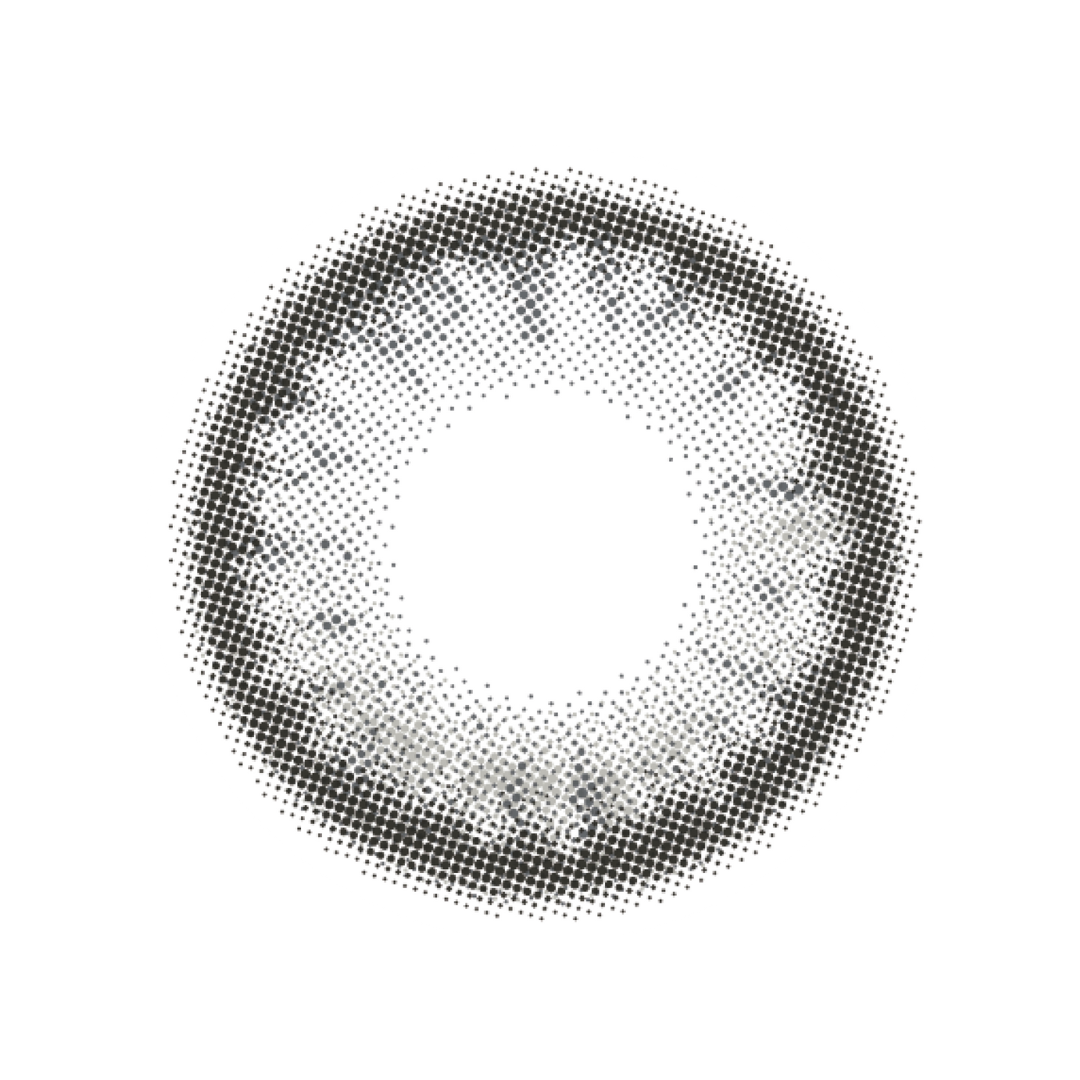 【預購】Flanmy Salty Vanilla 1 Day 十片裝