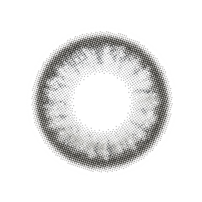 【預購】Flanmy Salty Vanilla 1 Day 十片裝
