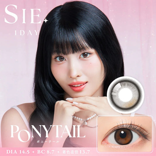 【預購】【固定高光】SIE Ponytail 1 Day 十片裝