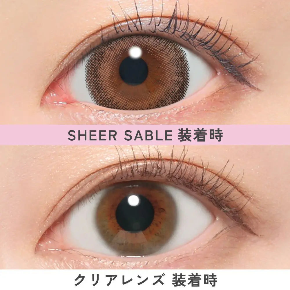 【預購】FABULOUS Sheer Sable 1 Day 十片裝