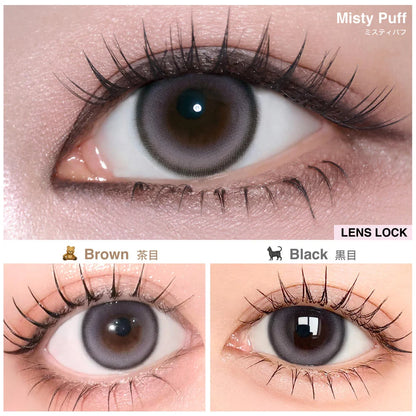【預購】【固定高光】LilMe Misty Puff 1 Day 十片裝
