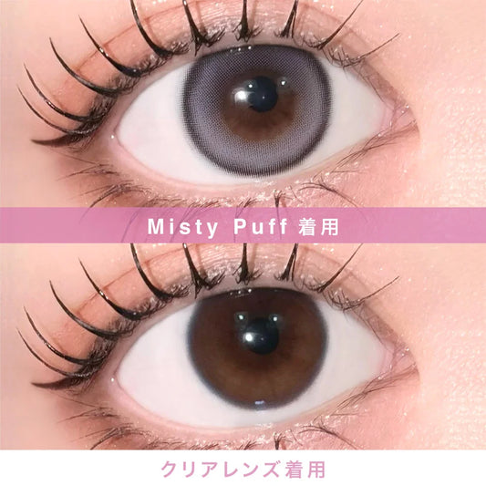 【預購】【固定高光】LilMe Misty Puff 1 Day 十片裝