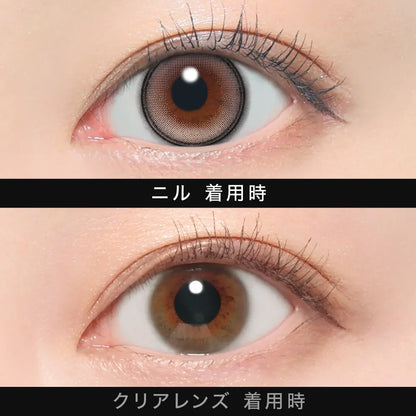【預購】【固定高光】Other Nill 1 Day 十片裝