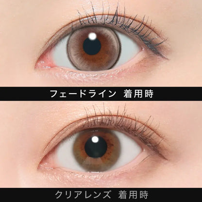 【預購】【固定高光】Other Fadeline 1 Day 十片裝
