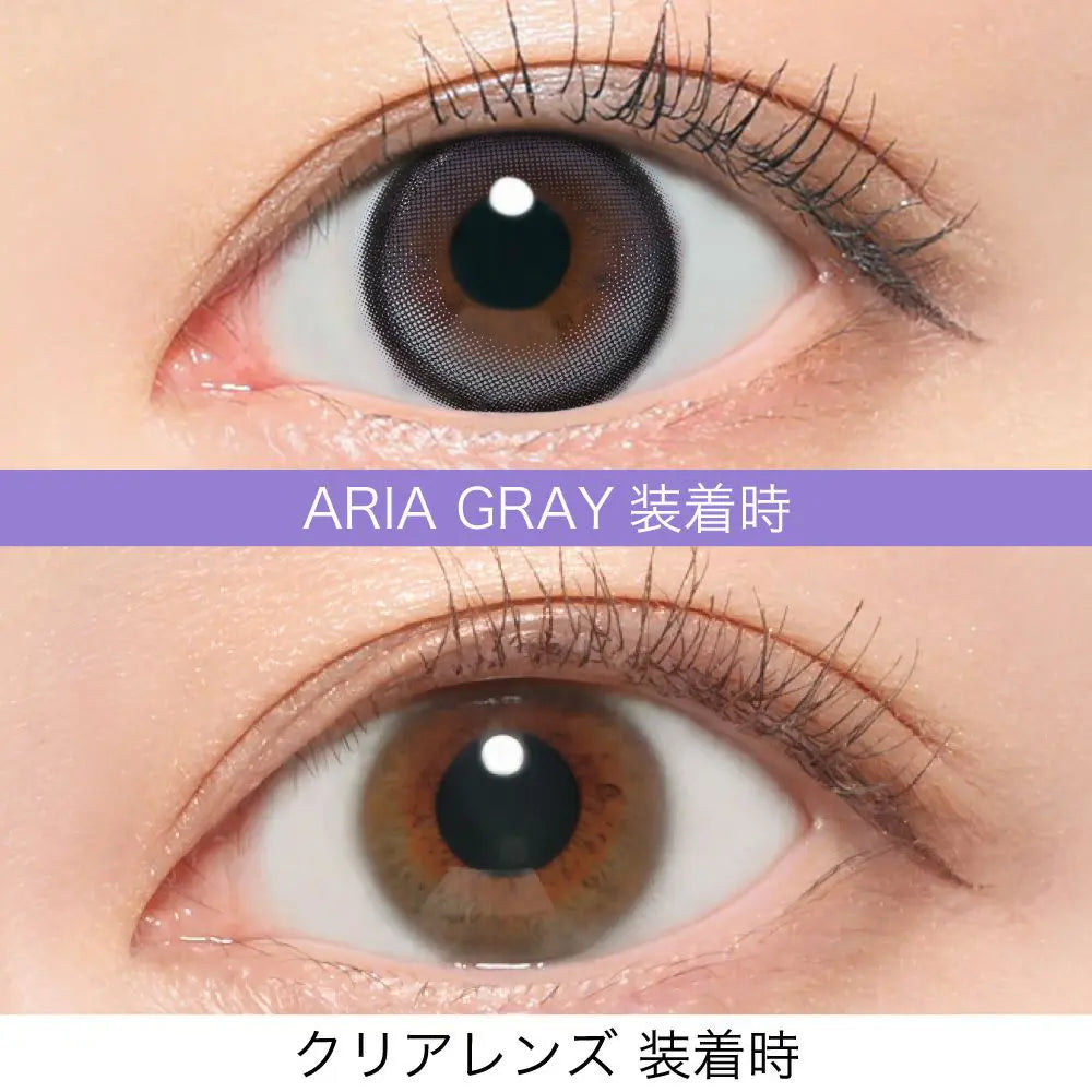 【預購】【固定高光】RIARIA Aria Gray 1 Day 十片裝