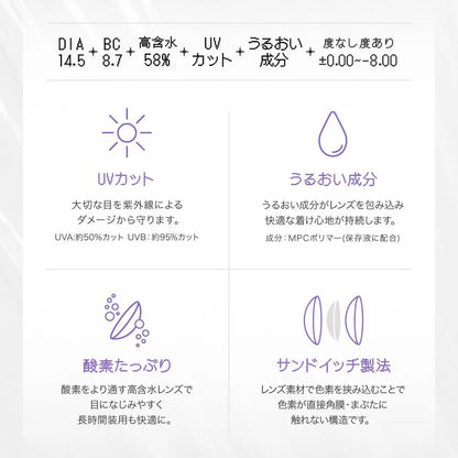 【預購】【固定高光】RIARIA Aria Gray 1 Day 十片裝