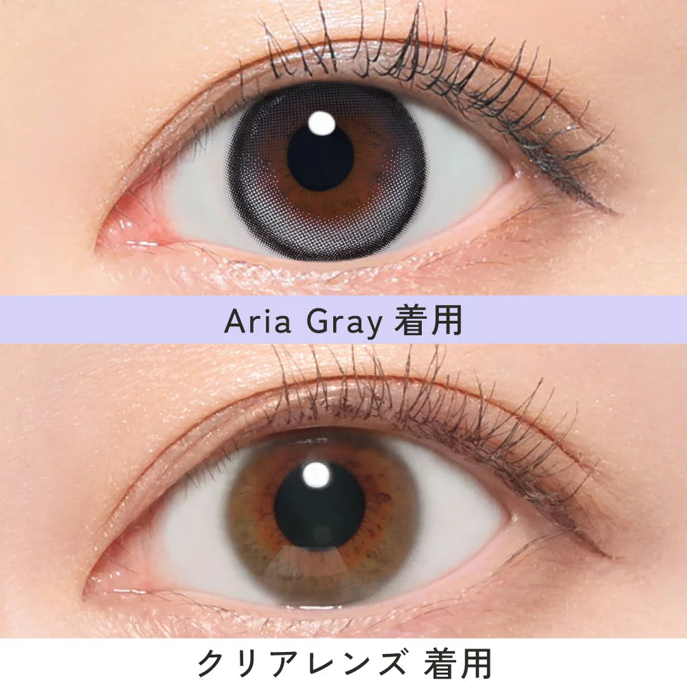 【預購】【固定高光】RIARIA Aria Gray 1 Day 十片裝