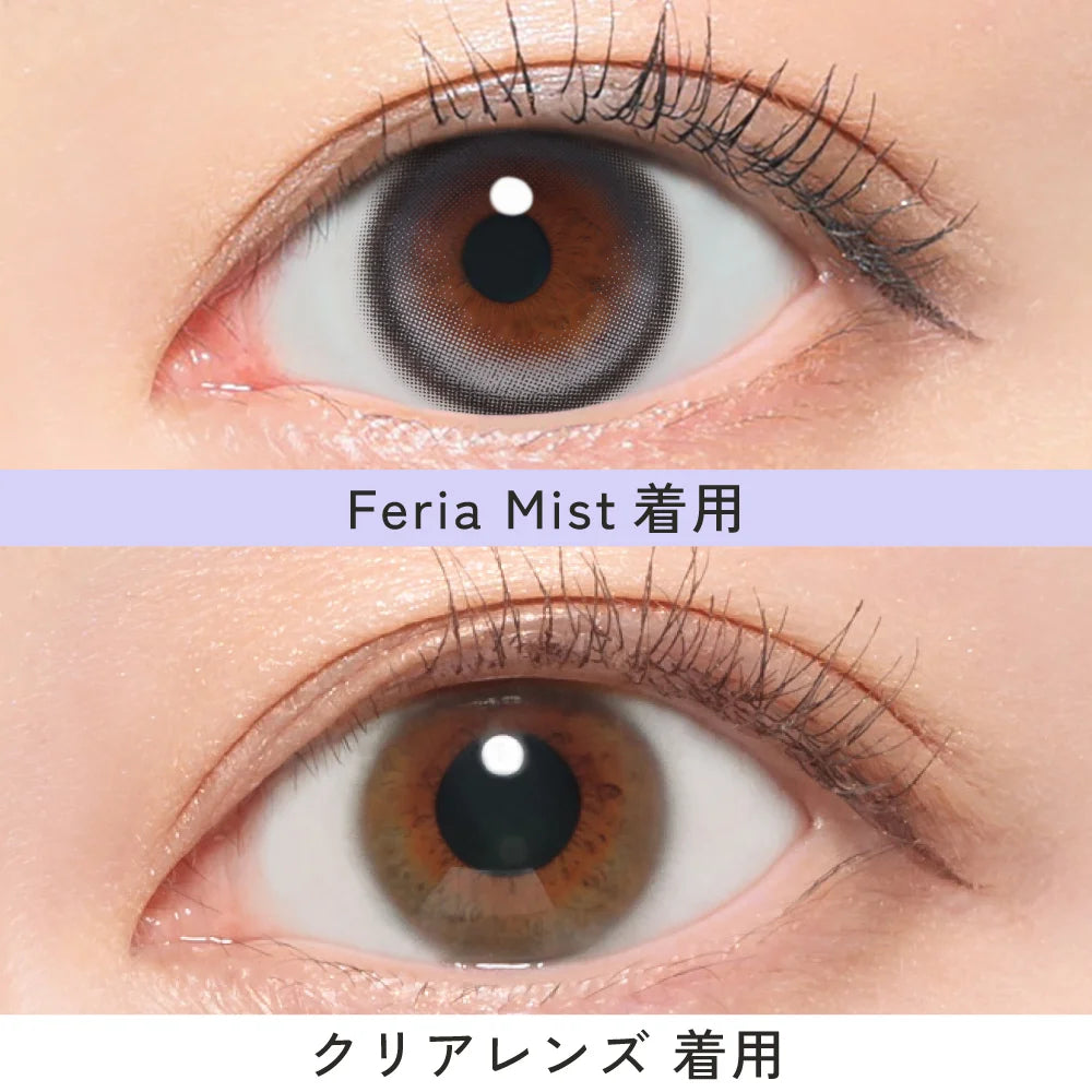 【預購】【固定高光】RIARIA Feria Mist 1 Day 十片裝