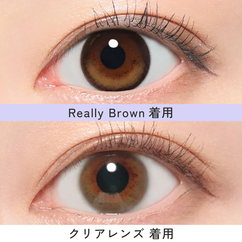 【預購】【固定高光】RIARIA Really Brown 1 Day 十片裝
