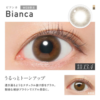 【預購】Revia Bianca 1 Day 十片裝