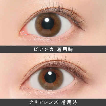 【預購】Revia Bianca 1 Day 十片裝