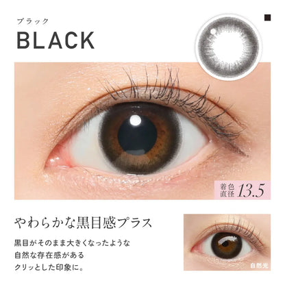 【預購】Revia Circle Black 1 Day 十片裝