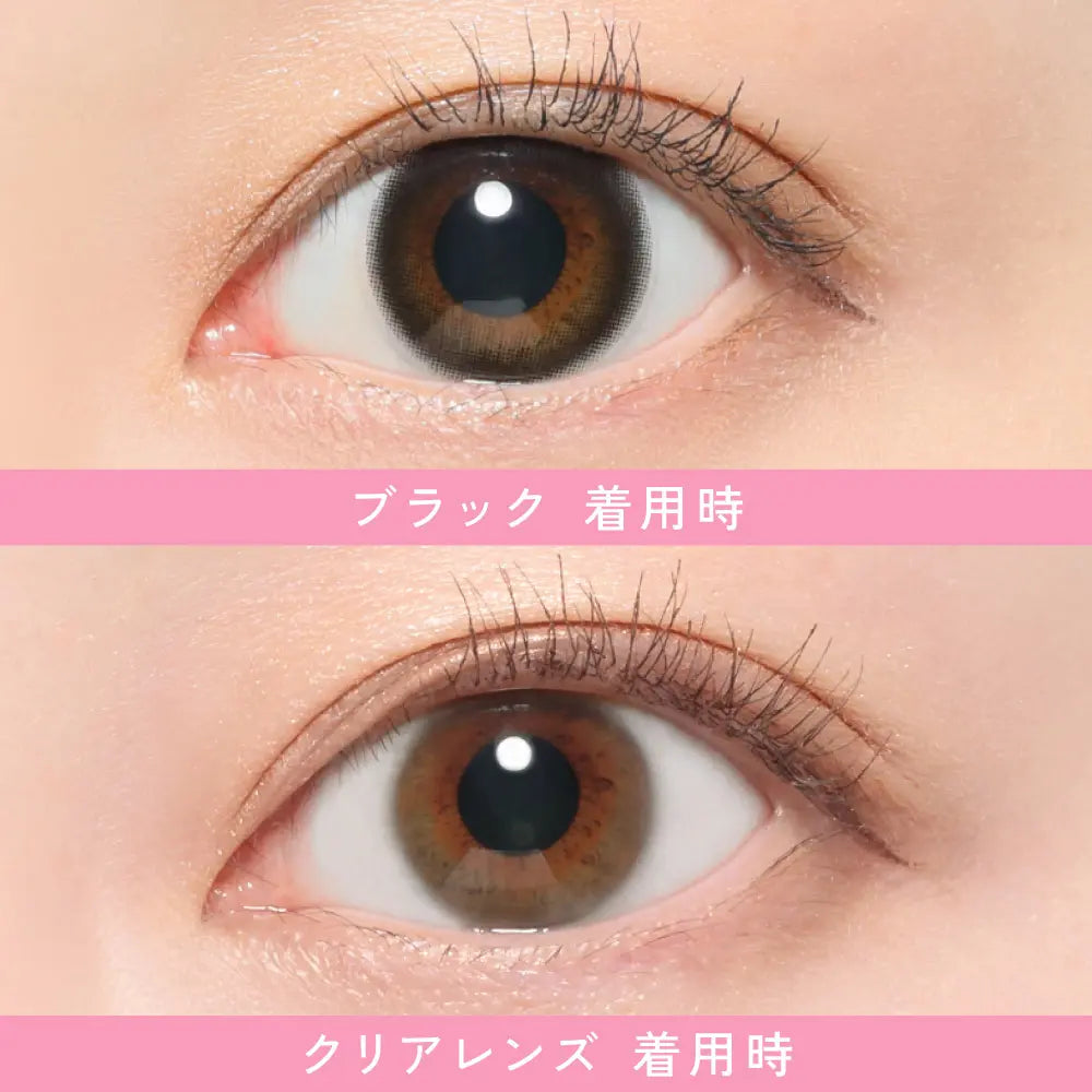 【預購】Revia Circle Black 1 Day 十片裝