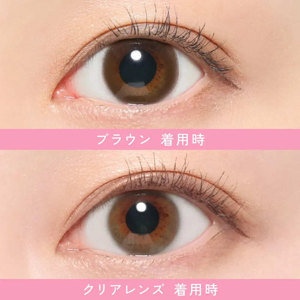 【預購】Revia Circle Brown 1 Day 十片裝