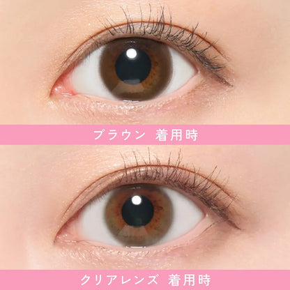 【預購】Revia Circle Brown 1 Day 十片裝