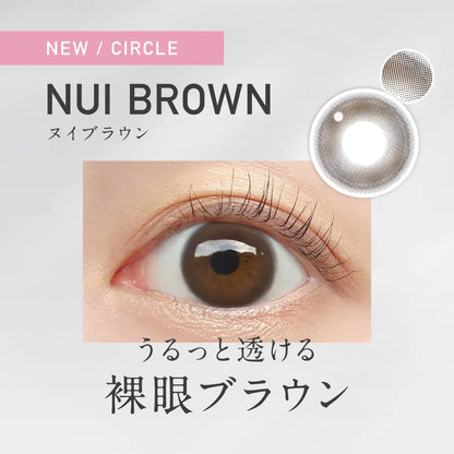 【預購】Revia Circle Nui Brown 1 Day 十片裝