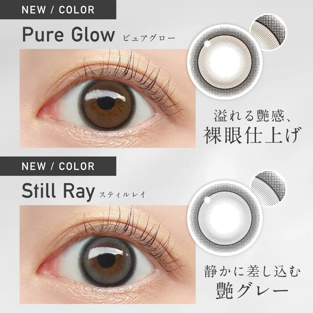 【預購】Revia Still Ray 1 Day 十片裝